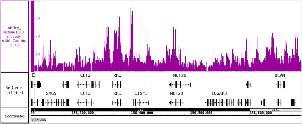 ChIP-Seq of AbFlex Histone H3.3 antibody (rAb) ChIP was performed using the ChIP-IT High Sensitivity Kit (Cat. No. 53040) with 30 ug of chromatin from brain tumor cell cells and 4 ug of AbFlex Histone H3.3 antibody. ChIP DNA was sequenced on the Illumina HiSeq and 15.1 million sequence tags were mapped to identify Histone H3.3 binding sites. The image shows binding across a region of chromosome 1.