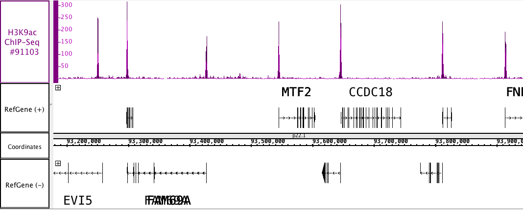 AbFlex Histone H3K9ac antibody (rAb) tested by ChIP-Seq. ChIP was performed using the ChIP-IT High Sensitivity Kit (Cat. No. 53040) with 30 ug of chromatin from PC9 cell line and 4 ug of antibody. ChIP DNA was sequenced on the Illumina HiSeq and 22 million sequence tags were mapped to identify Histone H3K9ac binding sites. The image shows binding across a region of chromosome 1. AbFlex Histone H3K9ac antibody (rAb) tested by ChIP-Seq. ChIP was performed using the ChIP-IT High Sensitivity Kit (Cat. No. 53040) with 30 ug of chromatin from PC9 cell line and 4 ug of antibody. ChIP DNA was sequenced on the Illumina HiSeq and 22 million sequence tags were mapped to identify Histone H3K9ac binding sites. The image shows binding across a region of chromosome 1.