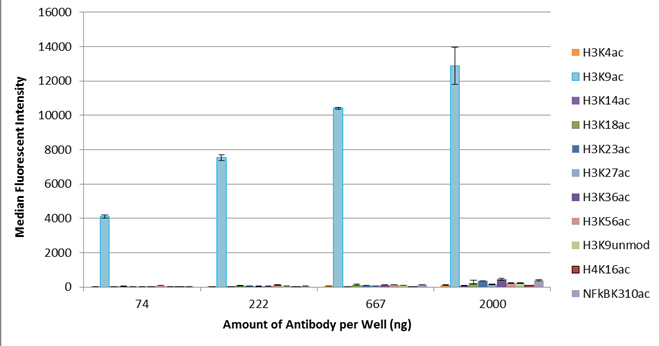 AbFlex Histone H3K9ac antibody (rAb) tested by Luminex bead-based specificity analysis. Luminex bead-based specificity analysis was used to confirm the specificity of AbFlex Histone H3K9ac antibody (rAb) antibody for acetyl-lysine 9 H3. Peptides corresponding to regions around major sites of histone H3 acetylation or other acetyl-lysine peptides were conjugated to MagPlex Luminex beads and incubated with various amounts of AbFlexHistone H3K9ac antibody (rAb). Peptide-bound antibody was detected with anti-mouse IgG-Phycoerythrin and read in a Luminex instrument. Luminex is a registered trademark of Luminex Corporation. AbFlex Histone H3K9ac antibody (rAb) tested by Luminex bead-based specificity analysis. Luminex bead-based specificity analysis was used to confirm the specificity of AbFlex Histone H3K9ac antibody (rAb) antibody for acetyl-lysine 9 H3. Peptides corresponding to regions around major sites of histone H3 acetylation or other acetyl-lysine peptides were conjugated to MagPlex Luminex beads and incubated with various amounts of AbFlexHistone H3K9ac antibody (rAb). Peptide-bound antibody was detected with anti-mouse IgG-Phycoerythrin and read in a Luminex instrument. Luminex is a registered trademark of Luminex Corporation.