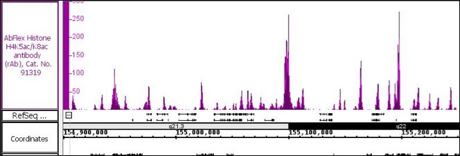 AbFlex Histone H4K5ac/K8ac recombinant antibody (rAb) tested by ChIP-Seq Chromatin immunoprecipitation (ChIP) was performed using the ChIP-IT High Sensitivity Kit (Cat. No. 53040) with 30 ug of HeLa cell chromatin and 4 ug of antibody. ChIP DNA was sequenced on the Illumina NextSeq and 6.7 million sequence tags were mapped to identify Histone H4K5ac/K8ac binding sites on chromosome 1. AbFlex Histone H4K5ac/K8ac recombinant antibody (rAb) tested by ChIP-Seq Chromatin immunoprecipitation (ChIP) was performed using the ChIP-IT High Sensitivity Kit (Cat. No. 53040) with 30 ug of HeLa cell chromatin and 4 ug of antibody. ChIP DNA was sequenced on the Illumina NextSeq and 6.7 million sequence tags were mapped to identify Histone H4K5ac/K8ac binding sites on chromosome 1.