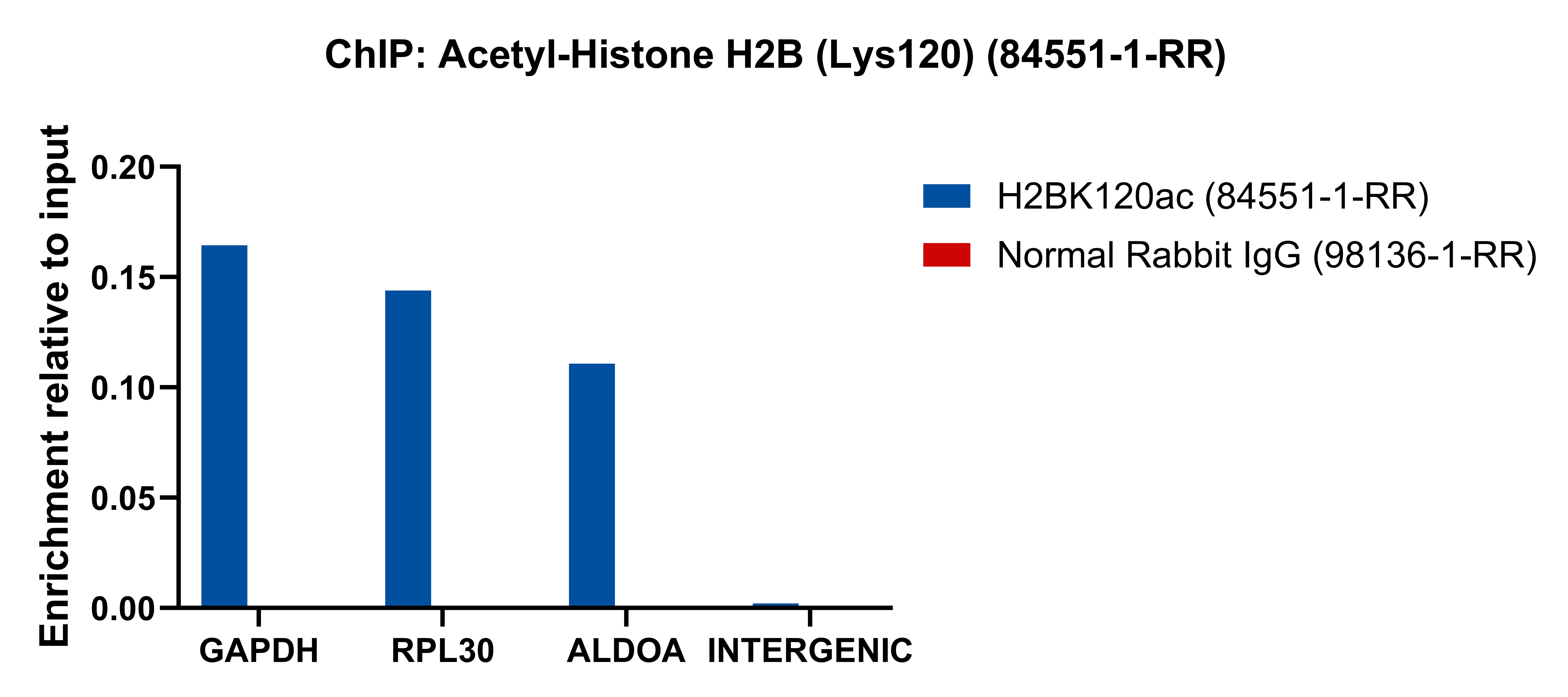 ChIP experiment of HeLa using 84551-1-RR