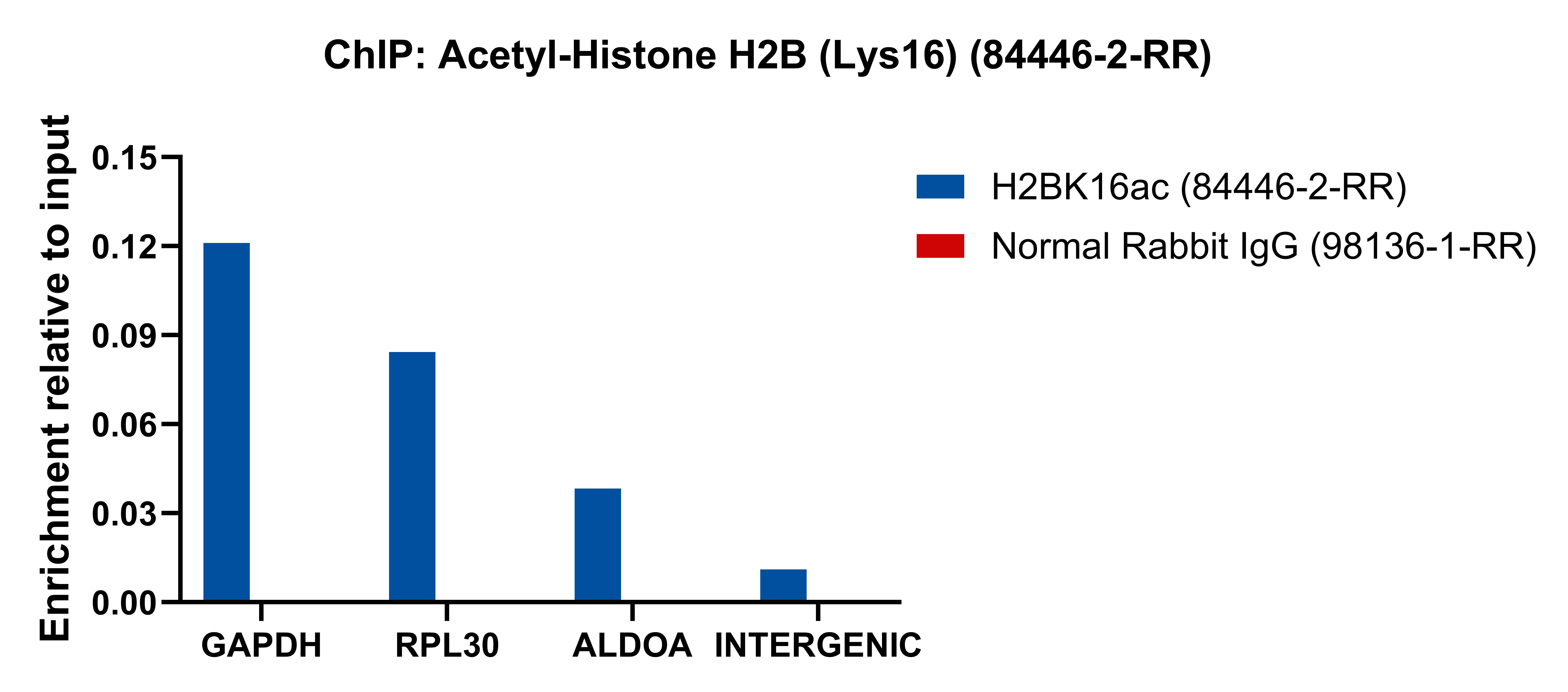 ChIP experiment of HeLa using 84446-2-RR (same clone as 84446-2-PBS)