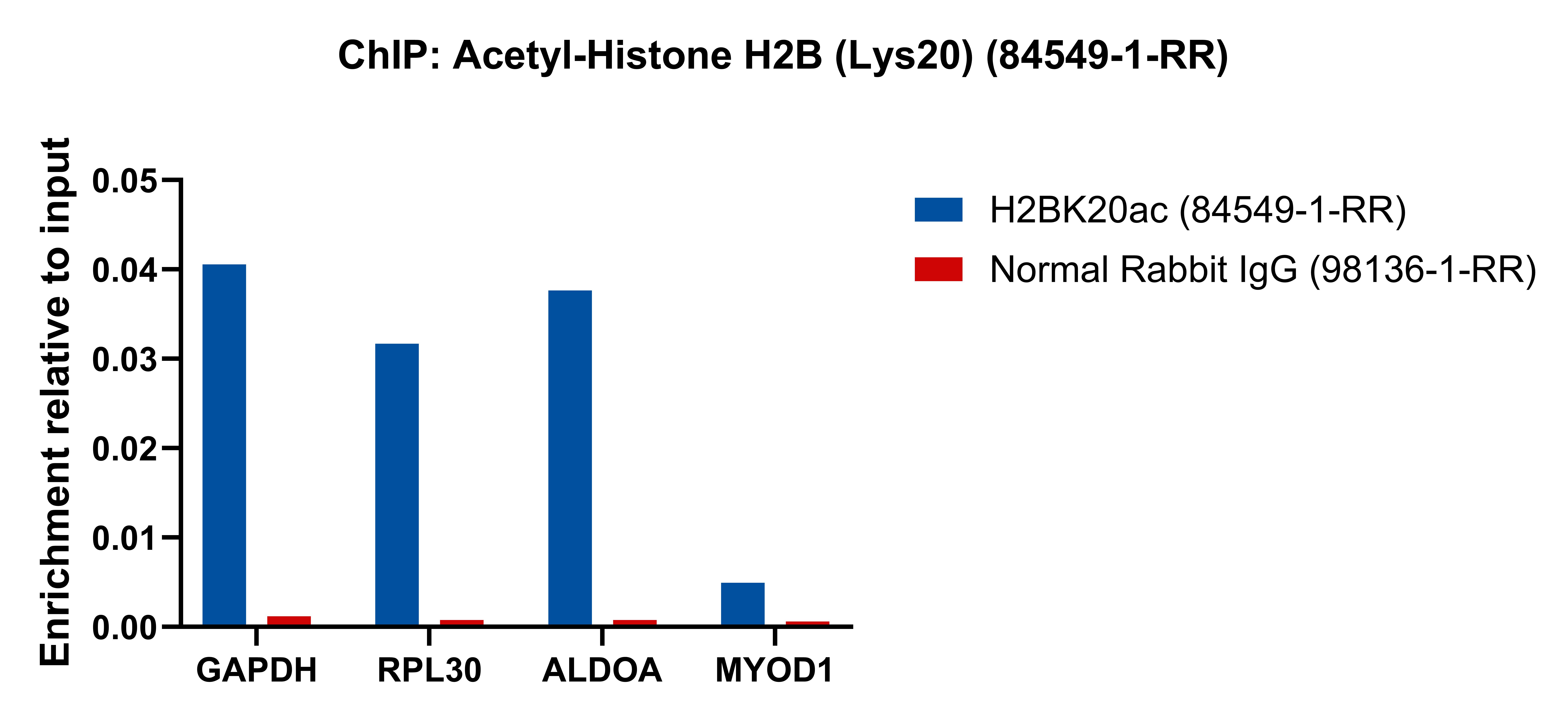ChIP experiment of HeLa using 84549-1-RR (same clone as 84549-1-PBS)