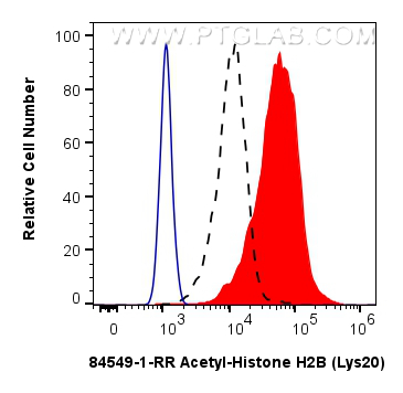 FC experiment of NIH/3T3 using 84549-1-RR FC experiment of NIH/3T3 using 84549-1-RR