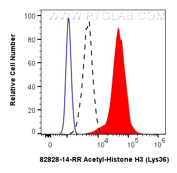 FC experiment of NIH/3T3 using 82828-14-RR FC experiment of NIH/3T3 using 82828-14-RR
