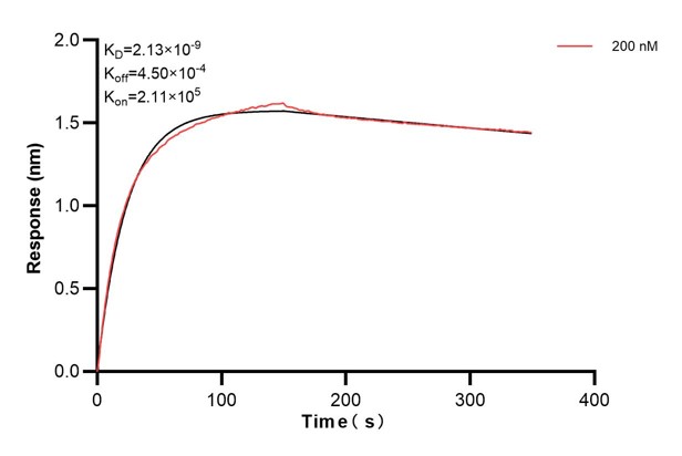 Affinity and Kinetic Characterization of 60055-2-PBS