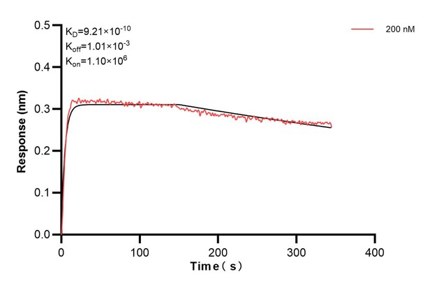 Affinity and Kinetic Characterization of 60063-1-PBS