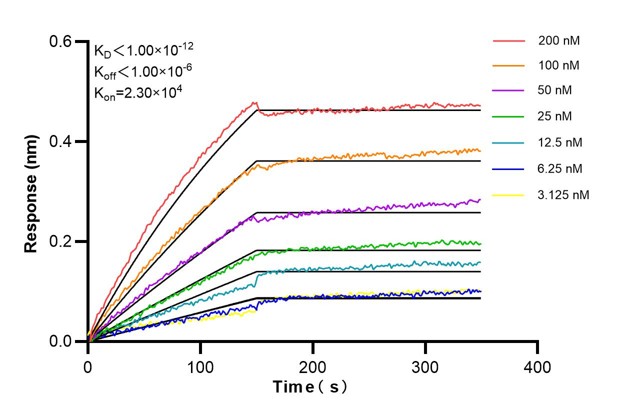 Affinity and Kinetic Characterization of 60190-2-PBS