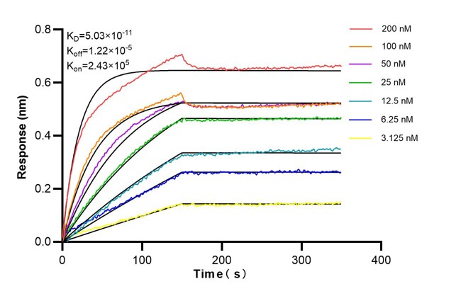 Affinity and Kinetic Characterization of 60190-3-PBS
