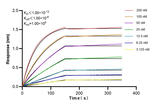 Affinity and Kinetic Characterization of 60190-4-PBS