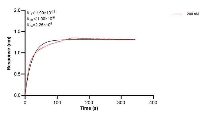 Affinity and Kinetic Characterization of 60406-1-PBS