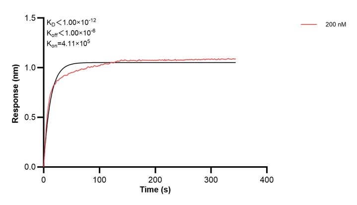 Affinity and Kinetic Characterization of 60406-4-PBS Affinity and Kinetic Characterization of 60406-4-PBS