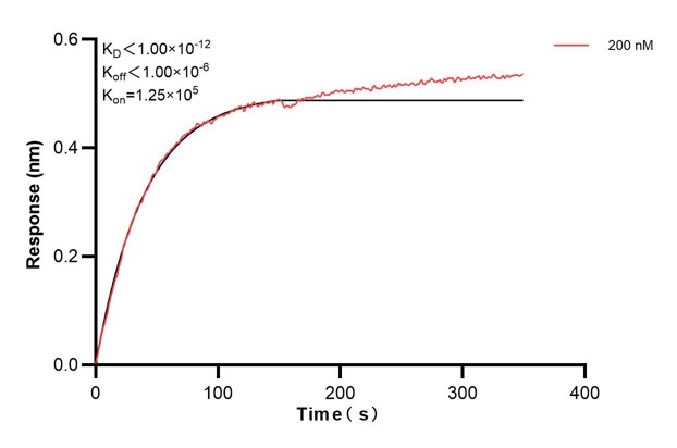 Affinity and Kinetic Characterization of 60408-3-PBS