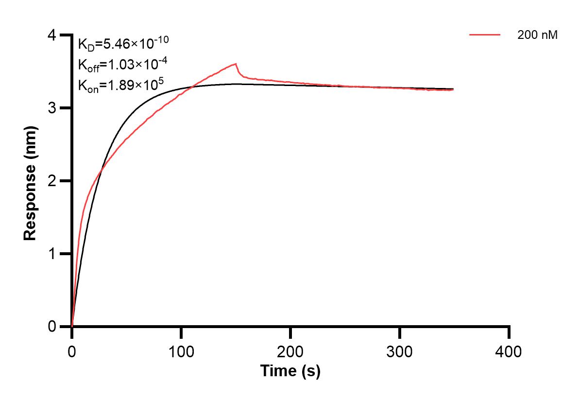 Affinity and Kinetic Characterization of 60422-1-PBS Affinity and Kinetic Characterization of 60422-1-PBS