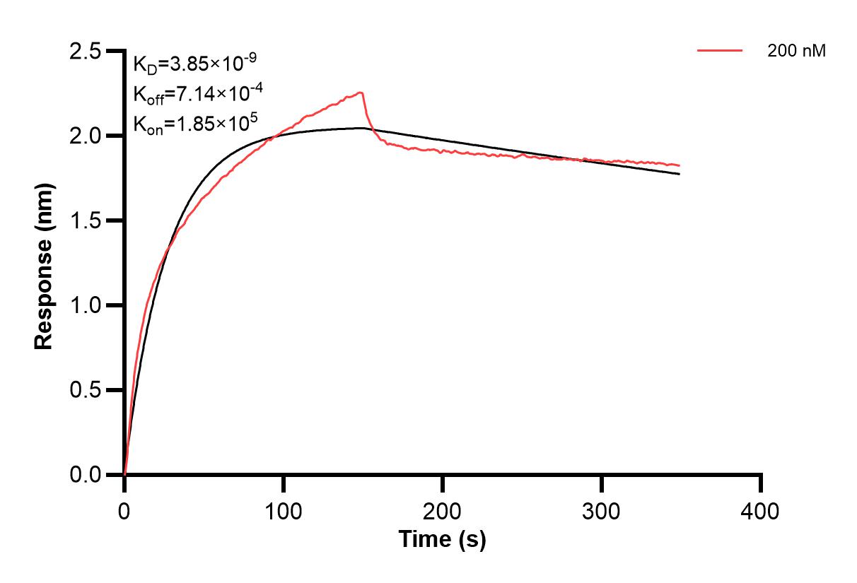 Affinity and Kinetic Characterization of 60422-2-PBS Affinity and Kinetic Characterization of 60422-2-PBS