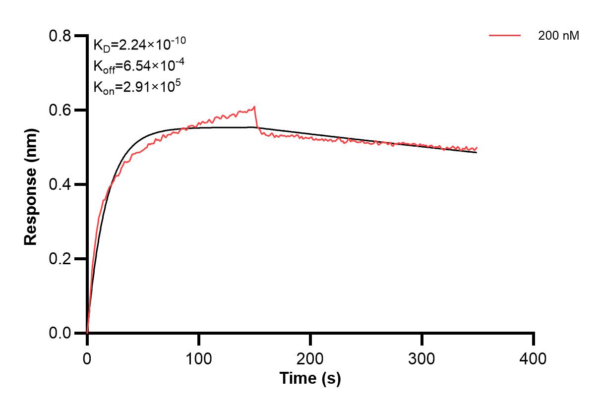 Affinity and Kinetic Characterization of 60422-4-PBS Affinity and Kinetic Characterization of 60422-4-PBS