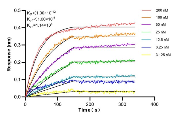 Affinity and Kinetic Characterization of 60435-3-Ig