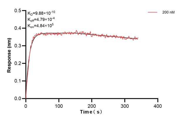Affinity and Kinetic Characterization of 60436-1-PBS
