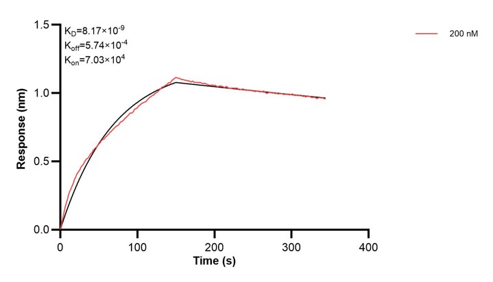 Affinity and Kinetic Characterization of 60439-2-PBS Affinity and Kinetic Characterization of 60439-2-PBS