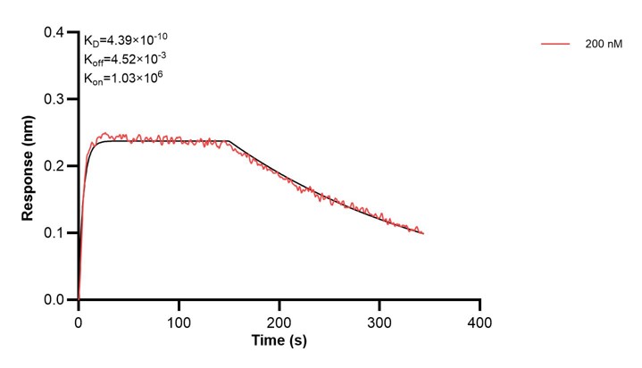 Affinity and Kinetic Characterization of 60439-4-PBS