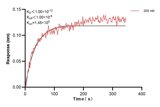 Affinity and Kinetic Characterization of 60451-1-PBS