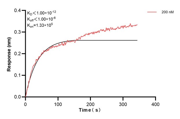 Affinity and Kinetic Characterization of 60451-2-PBS