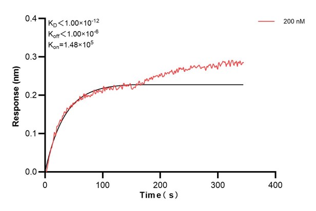 Affinity and Kinetic Characterization of 60451-4-PBS