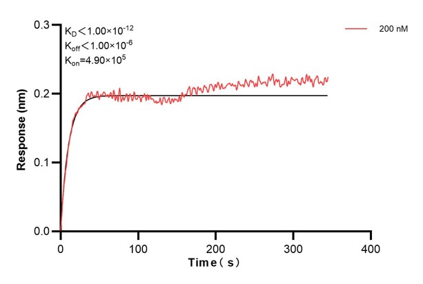 Affinity and Kinetic Characterization of 60452-1-PBS