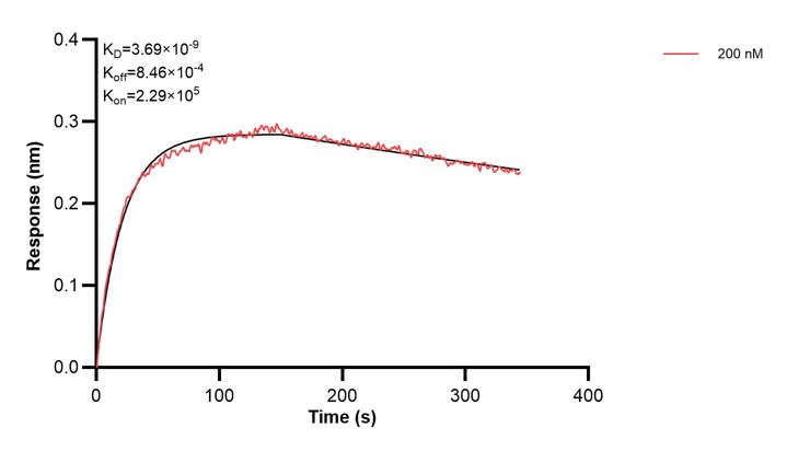 Affinity and Kinetic Characterization of 60454-2-PBS Affinity and Kinetic Characterization of 60454-2-PBS