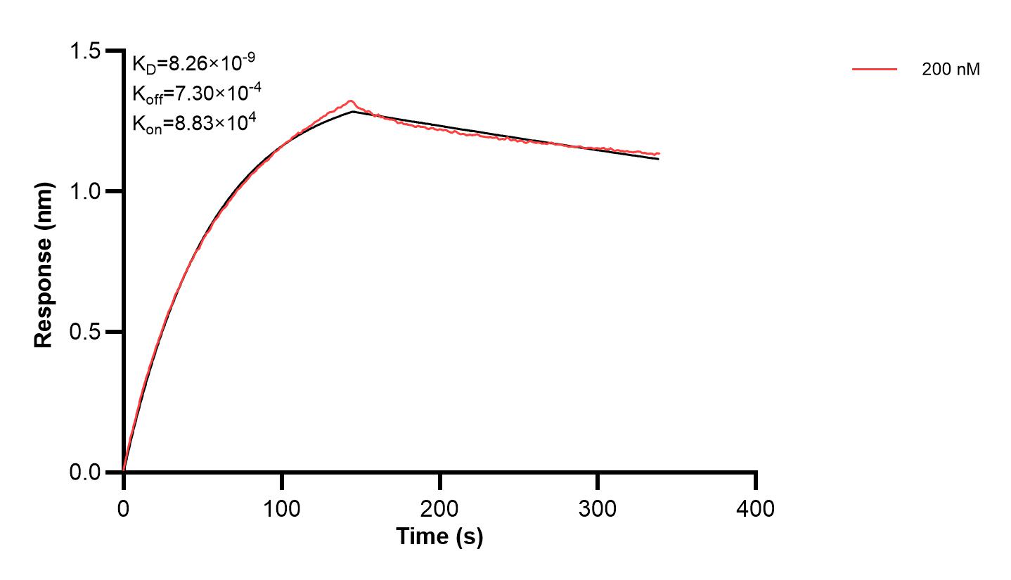 Affinity and Kinetic Characterization of 60458-1-PBS Affinity and Kinetic Characterization of 60458-1-PBS
