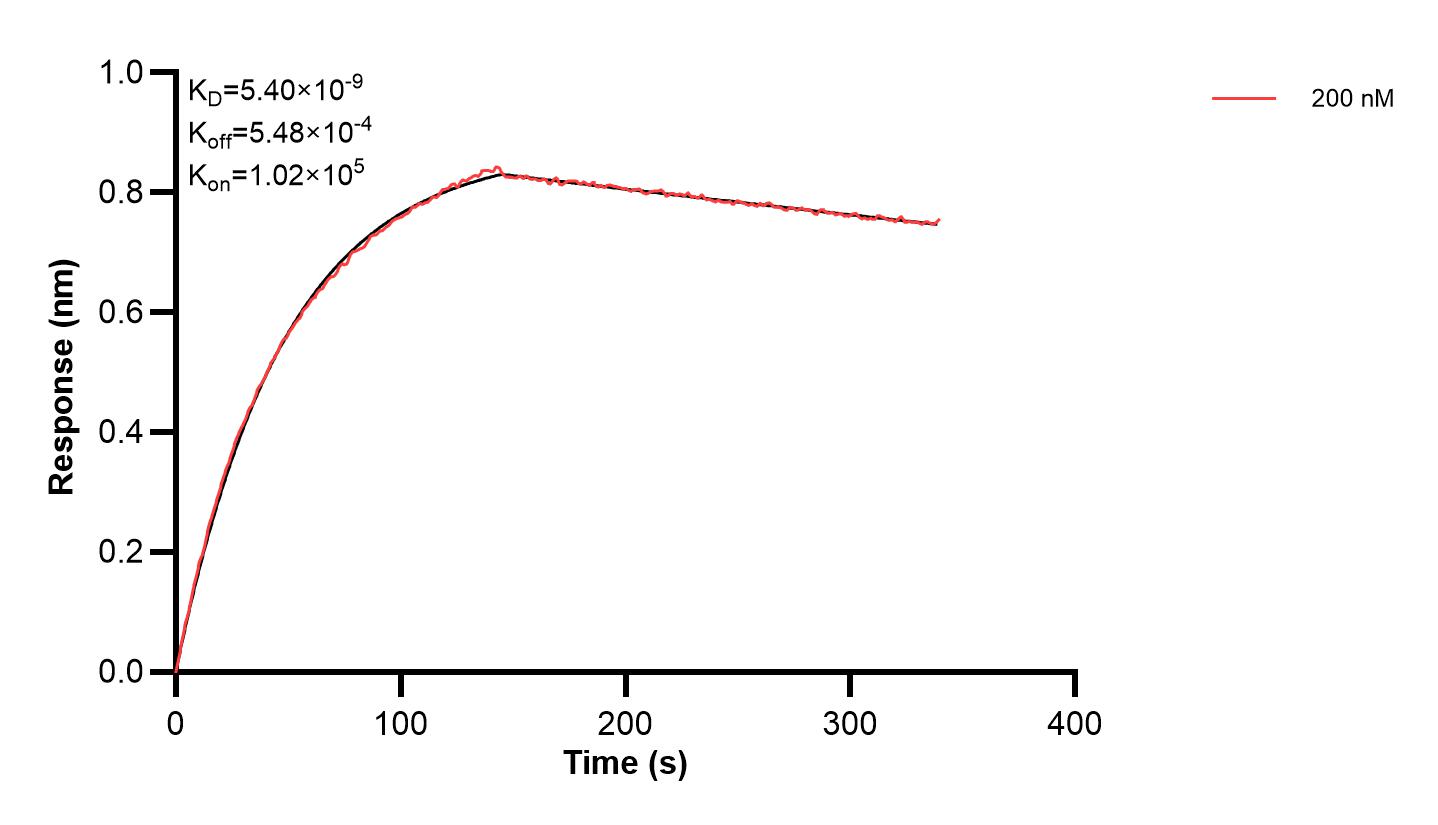Affinity and Kinetic Characterization of 60458-2-PBS