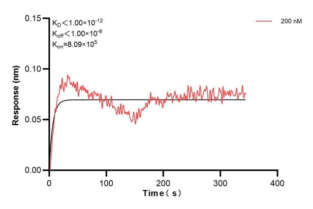 Biolayer interferometry (BLl) kinetic assay of <a class='green' href='/productredirect?CatalogNo=60459-4-Ig' target='_blank'>60459-4-Ig</a> against Human CPN1 was performed. The affinity constant is below 1 pM. Affinity and Kinetic Characterization of 60459-4-PBS