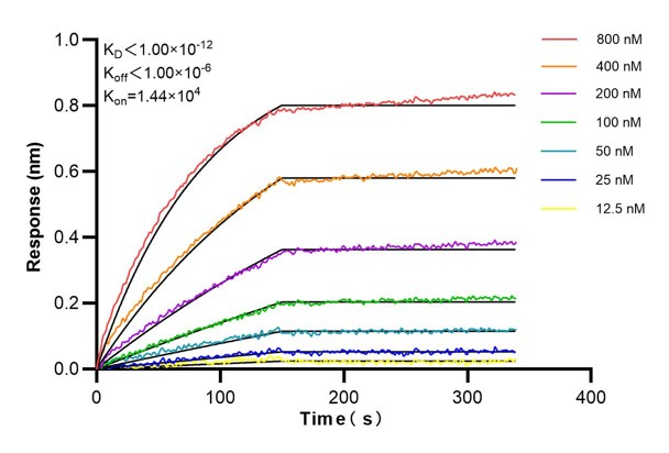 Affinity and Kinetic Characterization of 60462-1-PBS