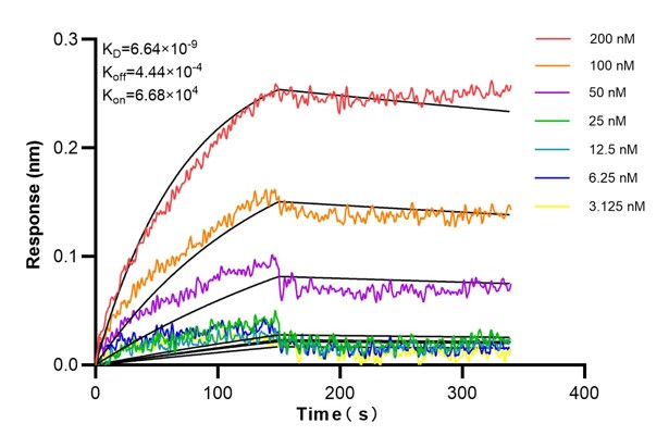 Affinity and Kinetic Characterization of 60462-3-PBS