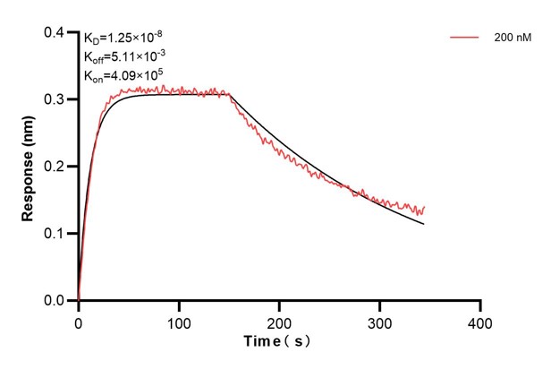 Affinity and Kinetic Characterization of 60463-3-PBS