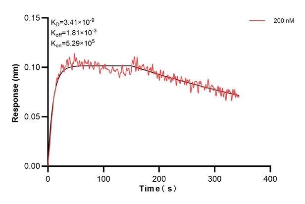 Affinity and Kinetic Characterization of 60463-4-PBS