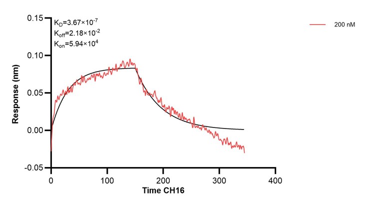 Affinity and Kinetic Characterization of 60475-2-PBS Affinity and Kinetic Characterization of 60475-2-PBS