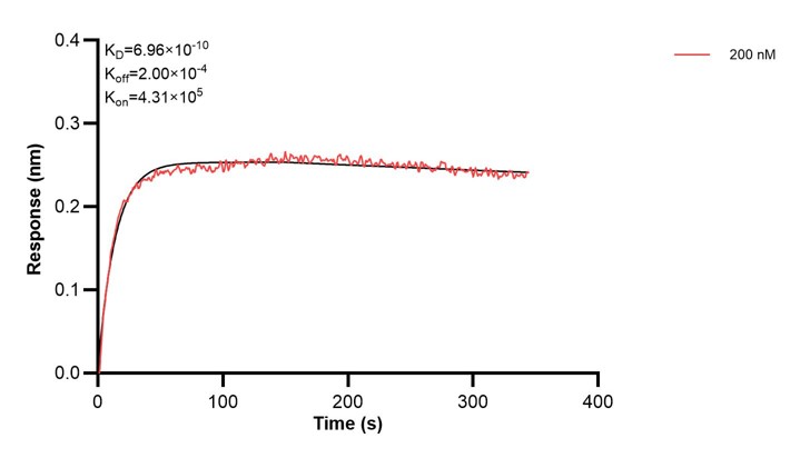 Affinity and Kinetic Characterization of 60475-3-PBS Affinity and Kinetic Characterization of 60475-3-PBS