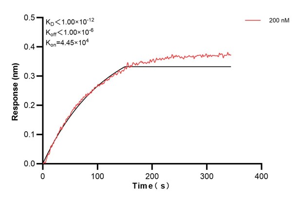 Affinity and Kinetic Characterization of 60483-1-PBS