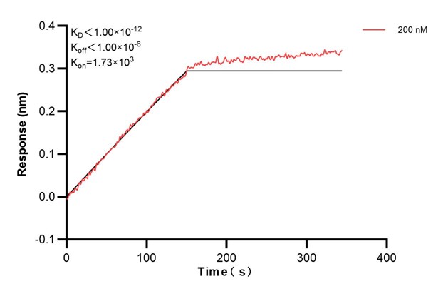 Affinity and Kinetic Characterization of 60483-2-PBS