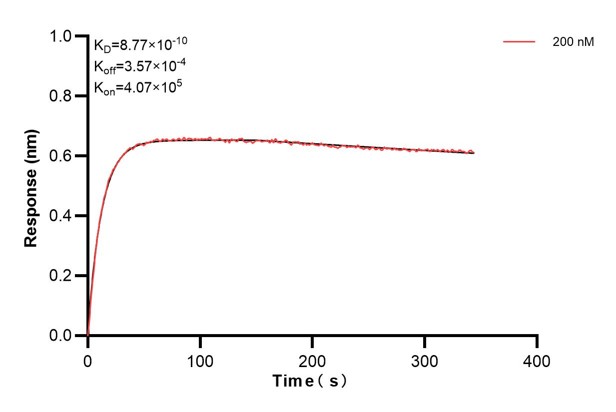 Affinity and Kinetic Characterization of 60511-1-PBS