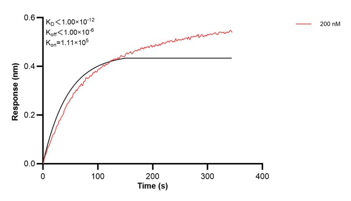 Affinity and Kinetic Characterization of 60513-1-PBS