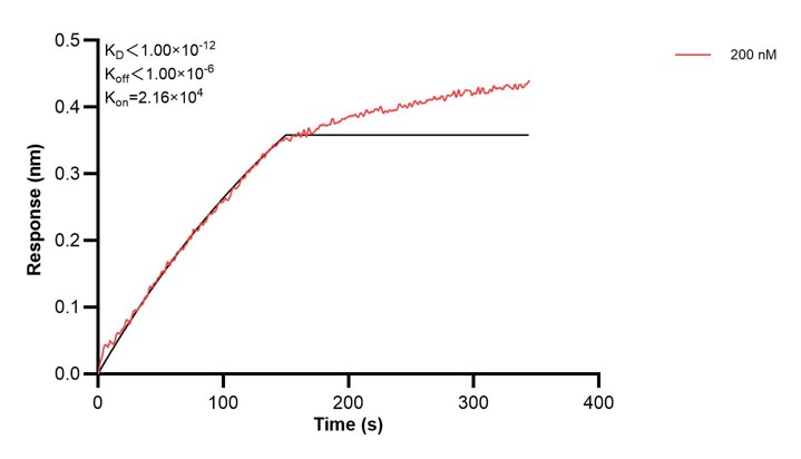 Affinity and Kinetic Characterization of 60513-2-PBS