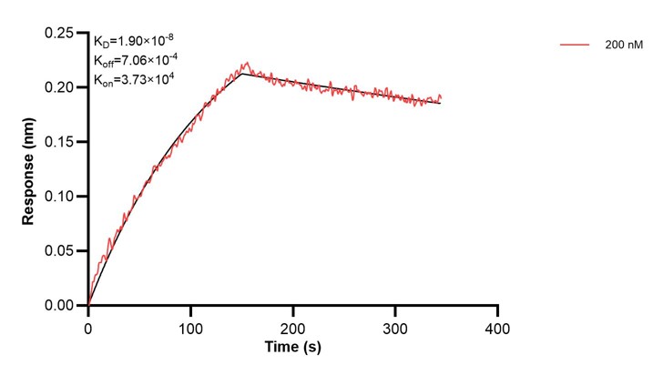 Affinity and Kinetic Characterization of 60513-3-PBS