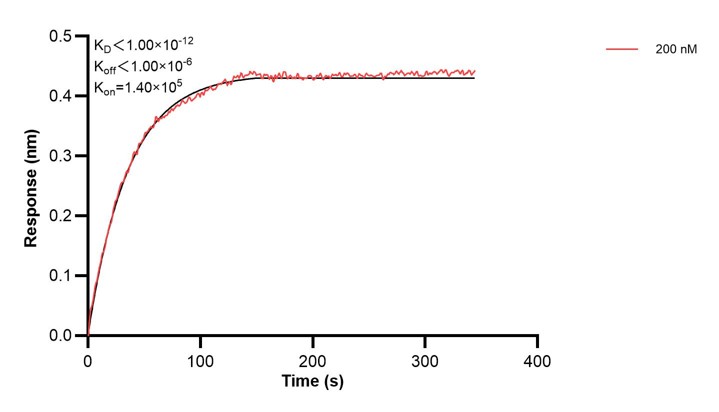 Affinity and Kinetic Characterization of 60514-2-PBS Affinity and Kinetic Characterization of 60514-2-PBS