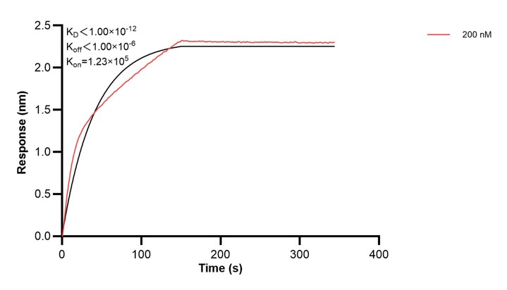 Affinity and Kinetic Characterization of 60519-2-PBS Affinity and Kinetic Characterization of 60519-2-PBS