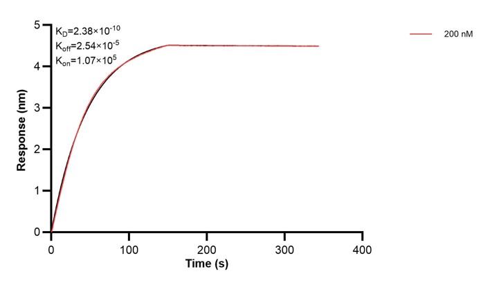 Affinity and Kinetic Characterization of 60519-3-PBS Affinity and Kinetic Characterization of 60519-3-PBS