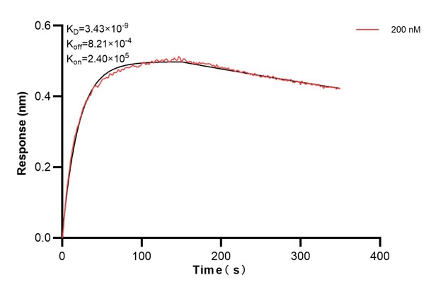 Affinity and Kinetic Characterization of 60539-1-PBS