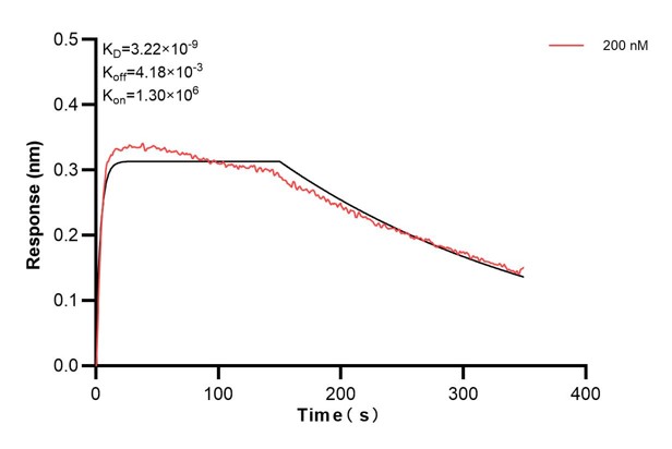 Affinity and Kinetic Characterization of 60539-2-PBS Affinity and Kinetic Characterization of 60539-2-PBS