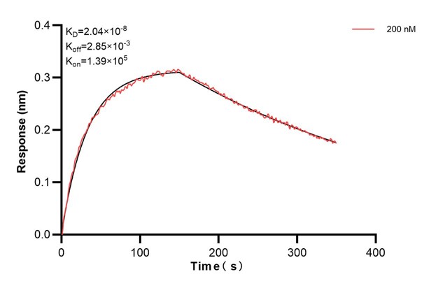 Affinity and Kinetic Characterization of 60539-3-PBS
